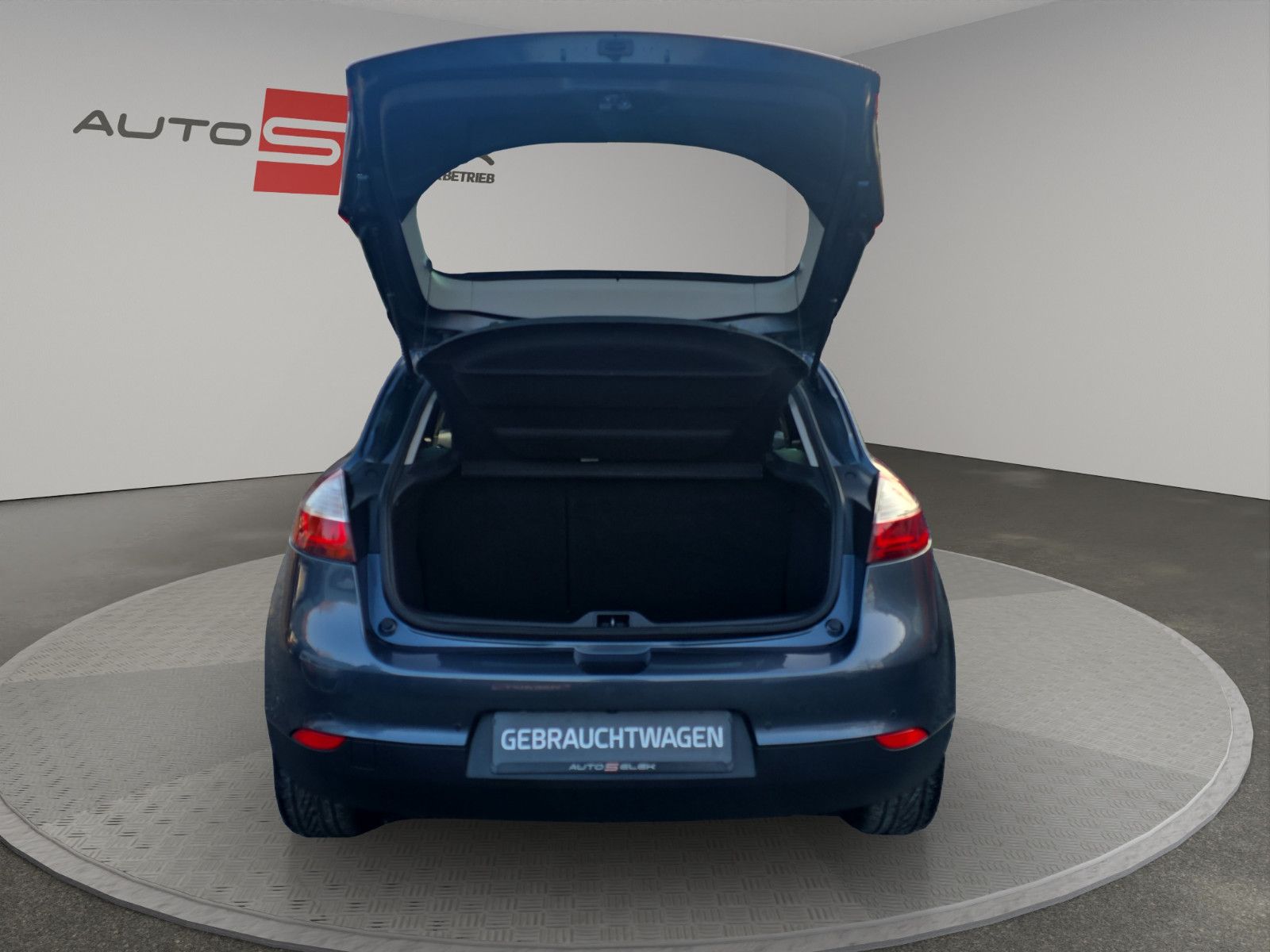 Fahrzeugabbildung Renault Megane III Lim. 5-trg. BOSE Edition TÜV SERVICE