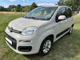Fiat Panda 1,3 Easy 5 Sitzer mit LED & DAB - Fiat Panda von privat