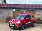 Fiat Panda Rock 4x4 - gebrauchte Fiat Panda aus dem Jahr 2014