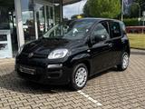 Fiat Panda 1.0 Hybrid MY'25 + City Paket *PDC hi*ZV*B - Fiat Panda in Hagen