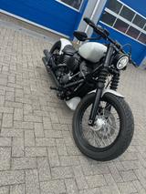 Harley-Davidson Street Bob Custome  - HARLEY-DAVIDSON STREET BOB CUSTOM