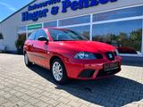 Seat Ibiza Amaro - guter Zustand, viele Neuteile - Seat Ibiza: Amaro