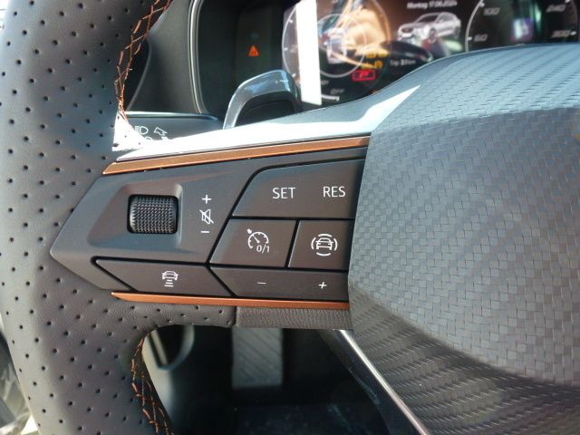 Fahrzeugabbildung CUPRA Formentor 1.5 TSI DSG + SHZ + Allwetter