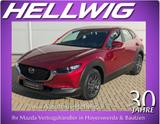 Mazda CX-30 2.5l (140PS) Prime-line Kamera Navi Voll-L - Mazda CX-30 Prime-Line mit Benzin-Antrieb
