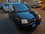 Fiat Panda 1,2 Dynamic - Fiat Panda in Köln