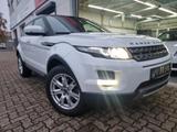 Land Rover Range Rover Evoque 2-Hand/ZR+WA Neu/Leder/4x Neu - Land Rover Range Rover Evoque mit Diesel-Antrieb: Geländewagen, 2.2