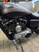 Harley-Davidson Sportster XL 1200 Custom - HARLEY-DAVIDSON SPORTSTER 1200 XL CUSTOM
