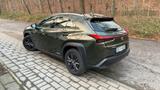 Lexus UX 250h Executive | HUD | Navi | <25.000km - Lexus UX in Köln