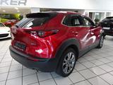 Mazda CX-30 SKYACTIV-X 180 6GS AL-SELECTION A18-B BOS  - Mazda CX-30 aus 2019