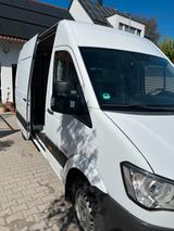 Hyundai H350 - Hyundai LKWs