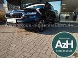 Skoda Karoq 2.0 TDI DSG 4x4 Tour - Gebrauchtwagen in der Nähe & deutschlandweit