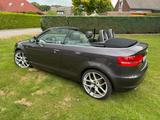 Audi A 3 Cabrio 8P 2,0 TDI, S-Line, Sonder... - Audi A3 aus 2009: TDI