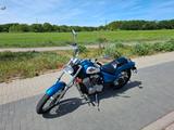 Honda Shadow VT 600 1. Hand nur 11.000km - HONDA CHOPPER 600