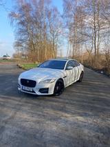 Jaguar XF 30d 300 R-Sport Automatik| ACC | Schiebedach - Jaguar XF in Hamburg