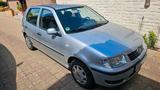 Volkswagen Vw Polo 6n2 1.4  97000km ! - Volkswagen Polo aus 2000