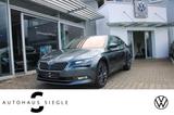 Skoda Superb 2.0 TDI Premium Edition DSG Leder Navi Xe - Skoda Superb in Stuttgart