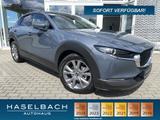 Mazda CX-30 Selection Matrix Freisprech LogIn RFK RVM  - gebrauchte Mazda CX-30 aus dem Jahr 2021