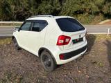Suzuki Ignis 1.2 Allgrip Intro Edition+ Allrad/Kamera - Suzuki Ignis Gebrauchtwagen