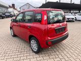 Fiat Panda Pandina 1.0 Icon *Radio Klima PDC 5Sitzer* - Fiat Panda Neuwagen mit Benzin-Antrieb