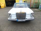 Mercedes-Benz 250SE  - gebrauchte Mercedes-Benz 250 aus dem Jahr 1966