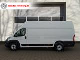 Fiat Ducato Maxi Grossr.-Kasten 35 180 L5H3/LED/BT - Fiat Ducato: Maxi