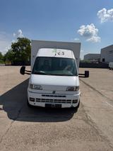 Fiat Ducato Verkaufswagen / Foodtruck  fa... - : Verkaufswagen