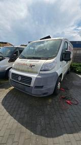 Fiat Dugato - gebrauchte Fiat Ducato aus dem Jahr 2008