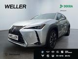 Lexus UX 250h E-FOUR Luxury Line *Matrix*HUD*Leder*CAM - Lexus Gebrauchtwagen in Stuttgart