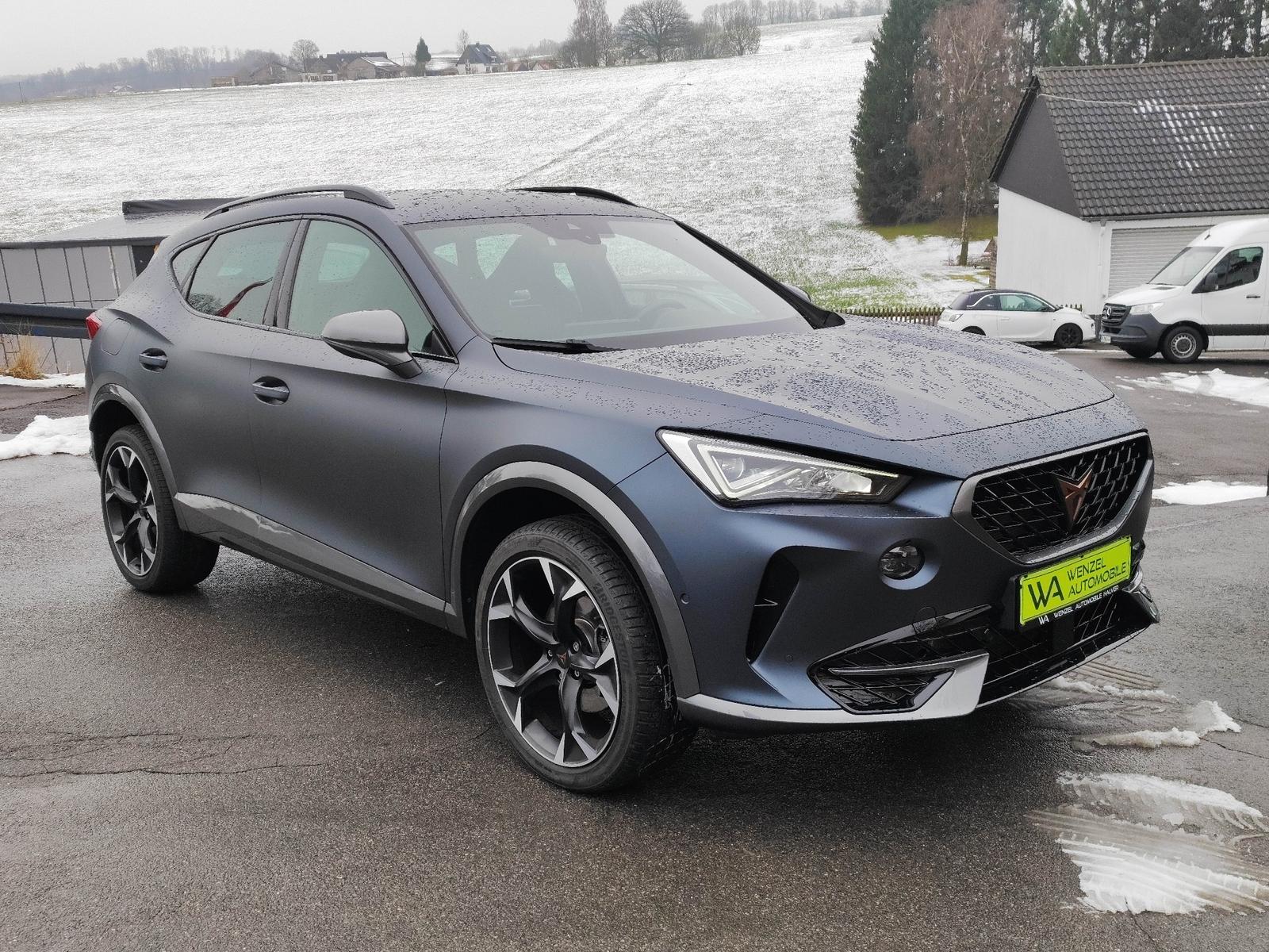 Cupra Formentor  4Drive *BEATS*LED*VIRTUAL*ASSIST*