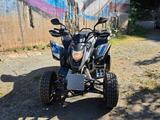 CPI Xs250 Quad  - Quads bis 2.000 Euro