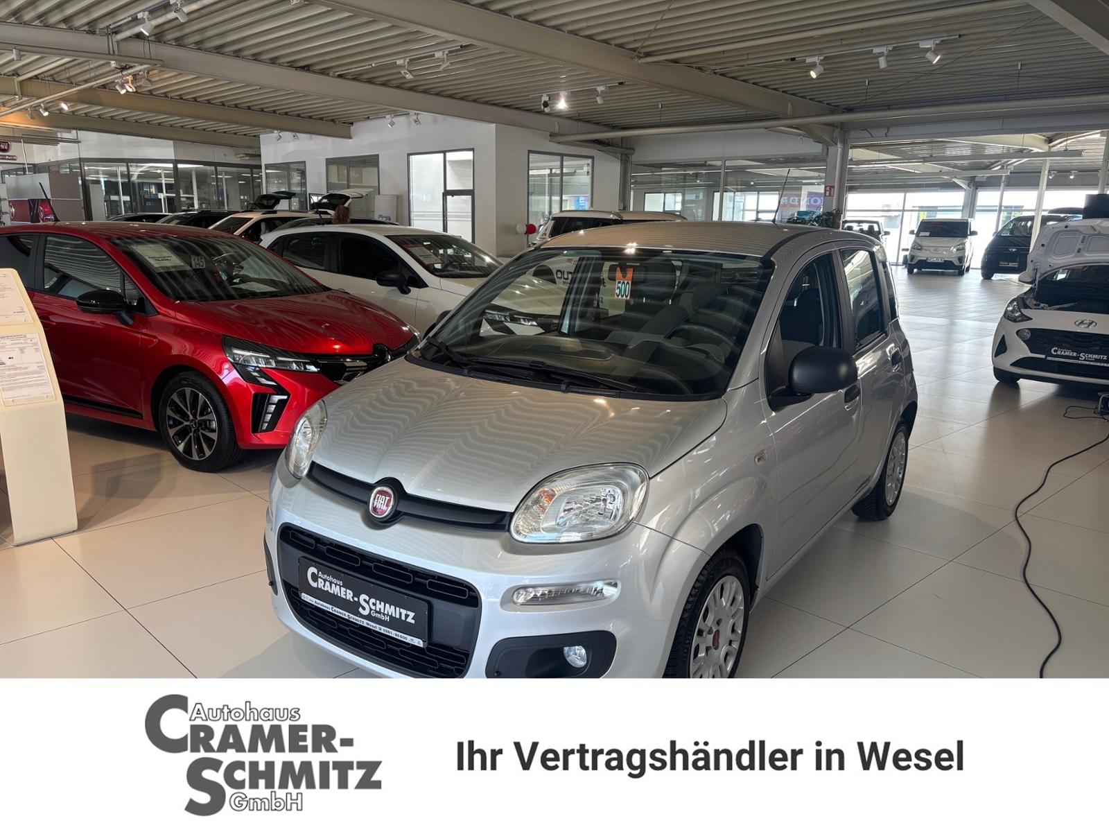 Fiat Panda Easy
