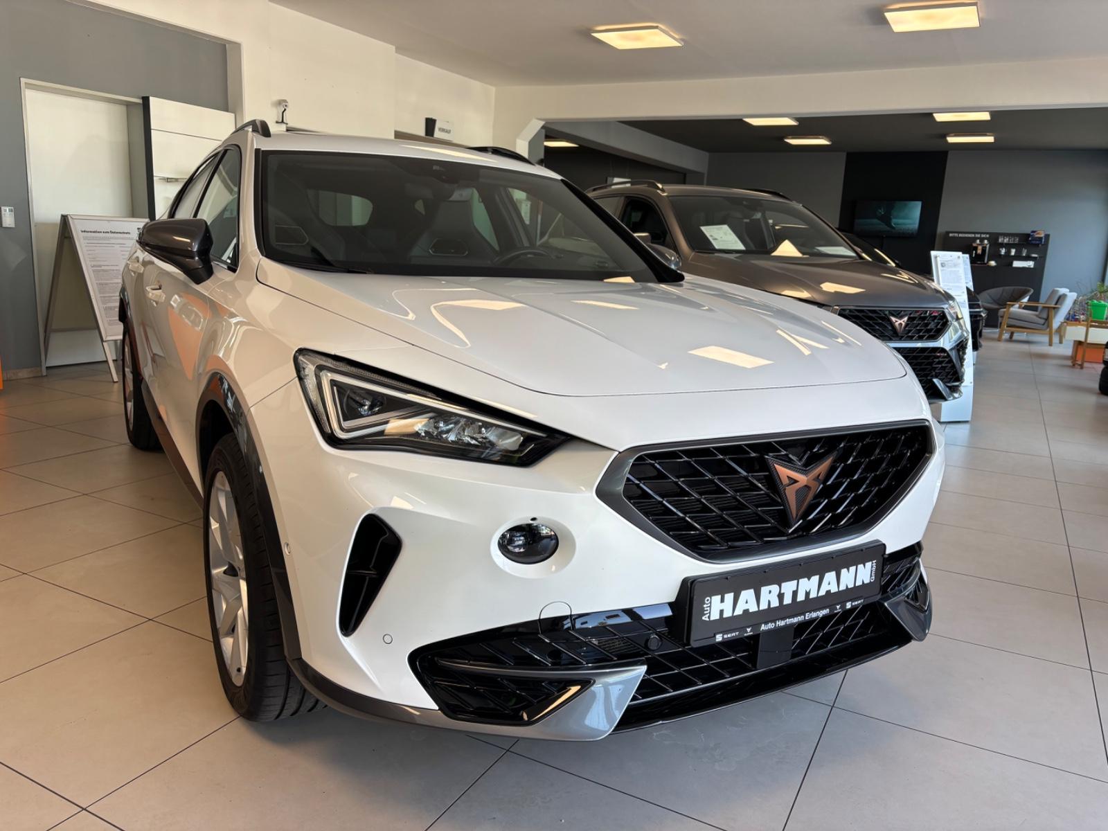 Cupra Formentor, Navi, Pano, AHK