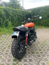 Harley-Davidson Street Rod Scrambler Umbau - HARLEY-DAVIDSON STREET ROD