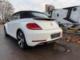 Volkswagen 2017 Volkswagen Beetle TSI Allstar Fender ... - VW Beetle Gebrauchtwagen in Berlin