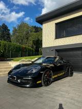 Porsche Cayman S - Porsche Cayman aus 2017