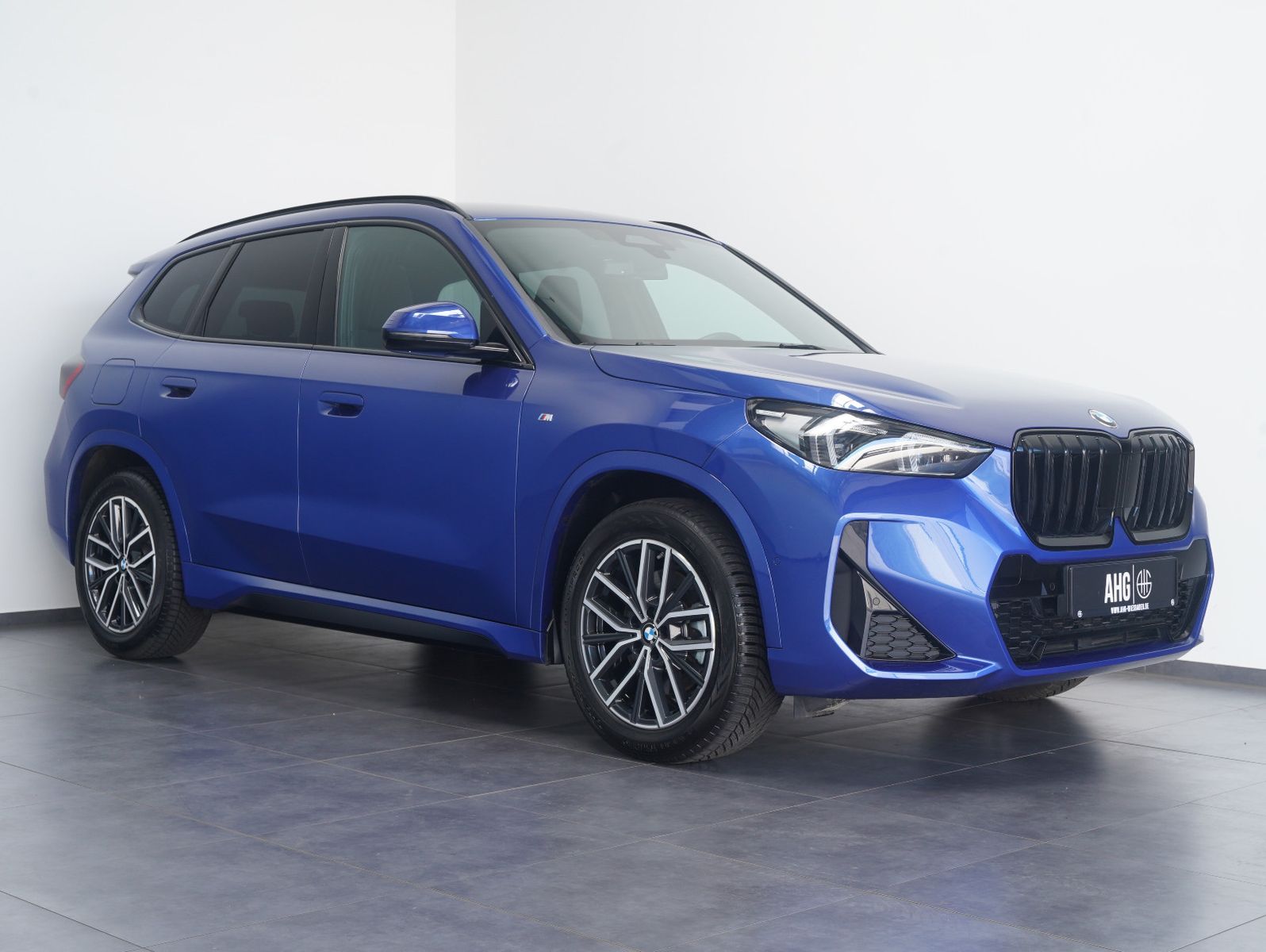 Fahrzeugabbildung BMW X1 20i Mild-Hybrid sDrive M Sport