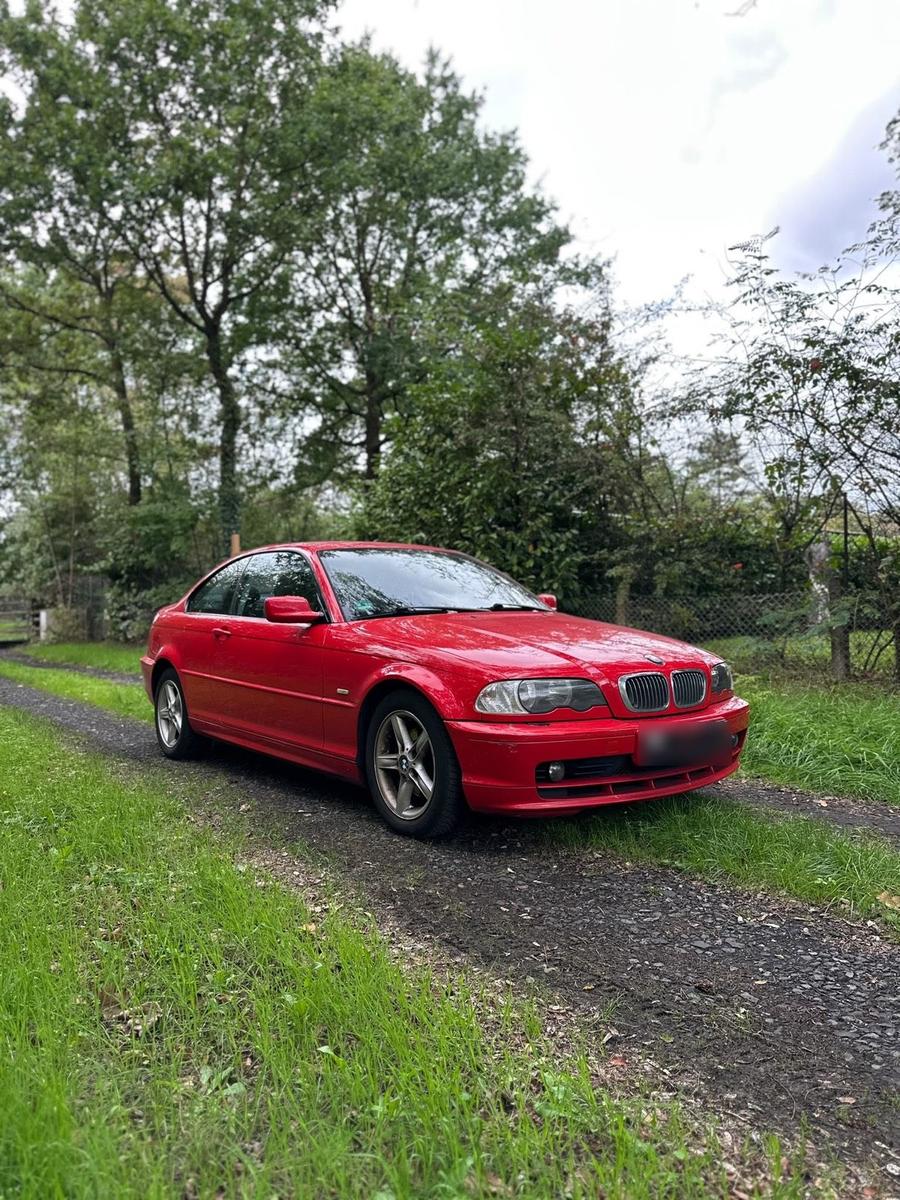 BMW 320