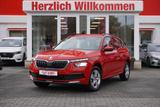 Skoda Kamiq 1.0 TSI Ambition Klima PDC DAB - Skoda Kamiq Gebrauchtwagen in Dresden
