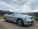 Mercedes-Benz Mercedes Benz CLK Cabrio W209 - : Cabrio, Clk 209