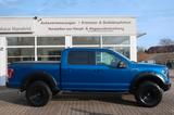 Ford F 150 - Ford mit LPG-Antrieb