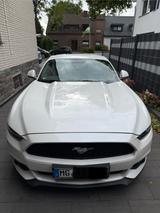 Ford Mustang 2.3 EcoBoost - - Ford Mustang Gebrauchtwagen in Düsseldorf