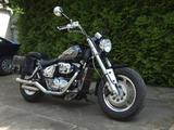 Suzuki VZ800 Marauder - SUZUKI MARAUDER 800