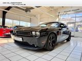 Dodge Challenger TÜV bis März 2027  Rückfahrkam. Temp  - Dodge: Coupé