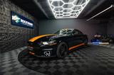 Ford Mustang Shelby GT Coupe Performance 6-Gang *LED* - : Shelby