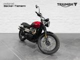 Triumph Scrambler 900