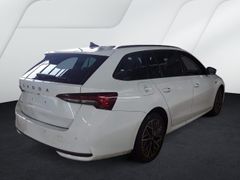 SKODA Combi 2.0 TDI Tour LED Matrix AHK 360Grad Virtul