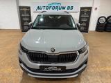 Skoda Kodiaq 2.0TDI DSG/CAM/GRA/LED/SHZ - Skoda Kodiaq Kombi Gebrauchtwagen