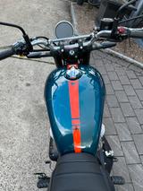 Royal Enfield Bear 650 Petrol Green - Offers