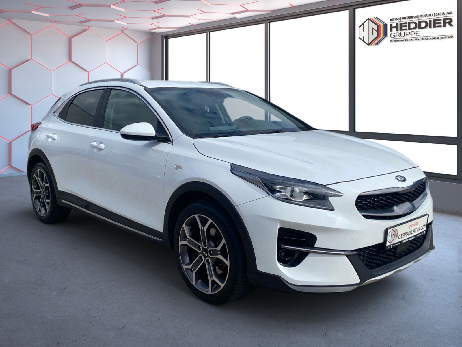 Fahrzeugabbildung Kia Xceed 1.5 T-i DCT7 Vision +AHK +WR +Standheizung