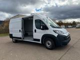 Opel Movano Kasten H2 35  L3H2 BlueHDI 140 - Opel Movano: L3h3